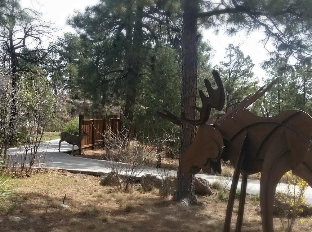 לוס אלאמוס Pueblo Canyon Inn מראה חיצוני תמונה